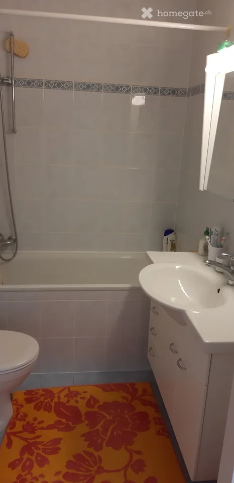 Übernahme Mietvertrag 1.5 Zimmer Meinier