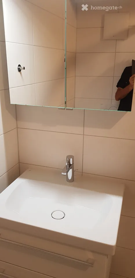 2,5 Zimmer, Stadt Fribourg, außergewöhnliche Lage