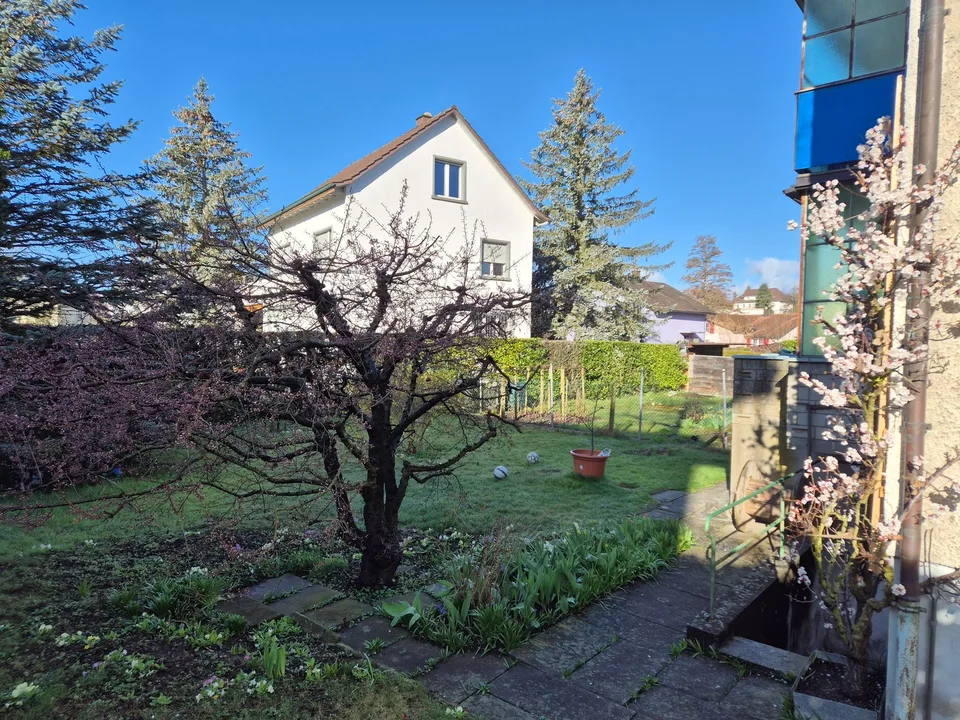 Beautiful 3-room ground floor apartment in Biberist