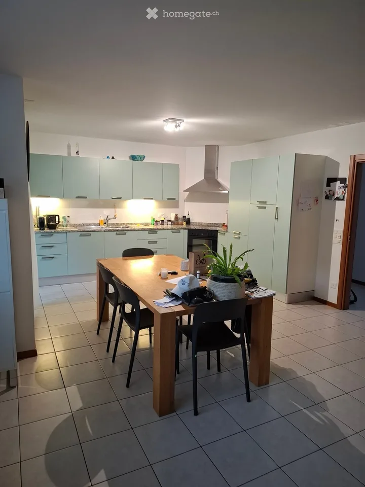 Losone loue appartement 4.5 pièces