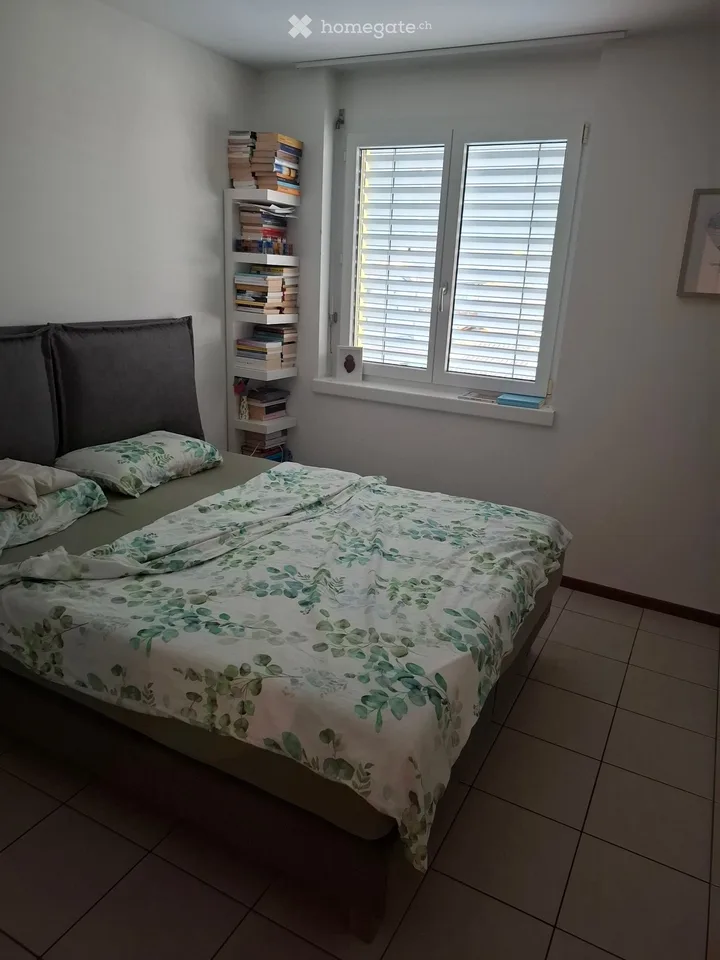 Losone loue appartement 4.5 pièces