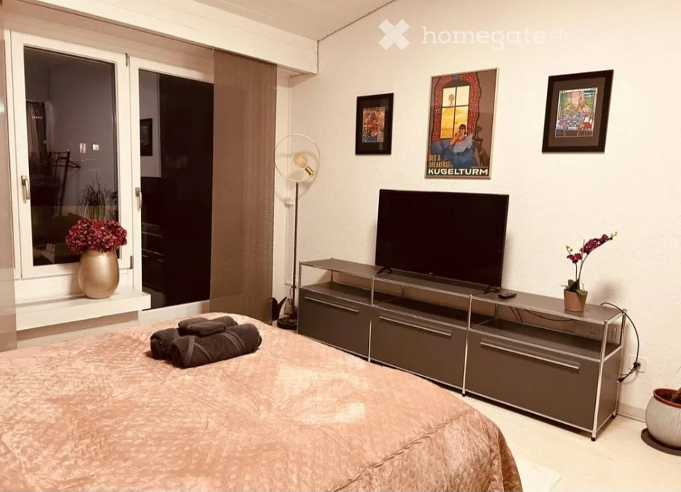 Moderne Studio-Wohnung in Schönengrund