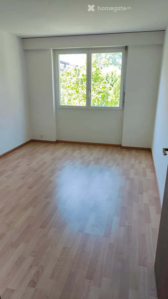 4.5 Zimmer Wohnung in Riehen