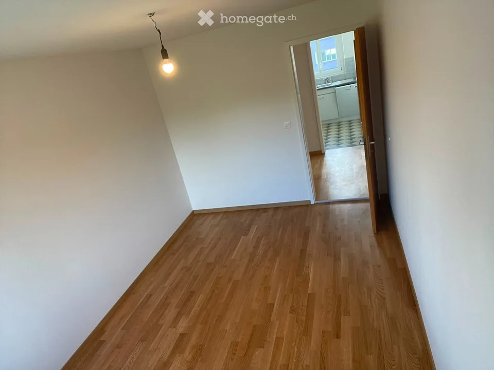 Appartamento di 4 locali ristrutturato di recente con balcone