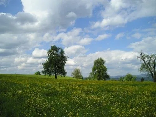 Familienparadies in der Natur am Bach, nahe Zürich Wohnen im Grünen in Egg b. Zürich