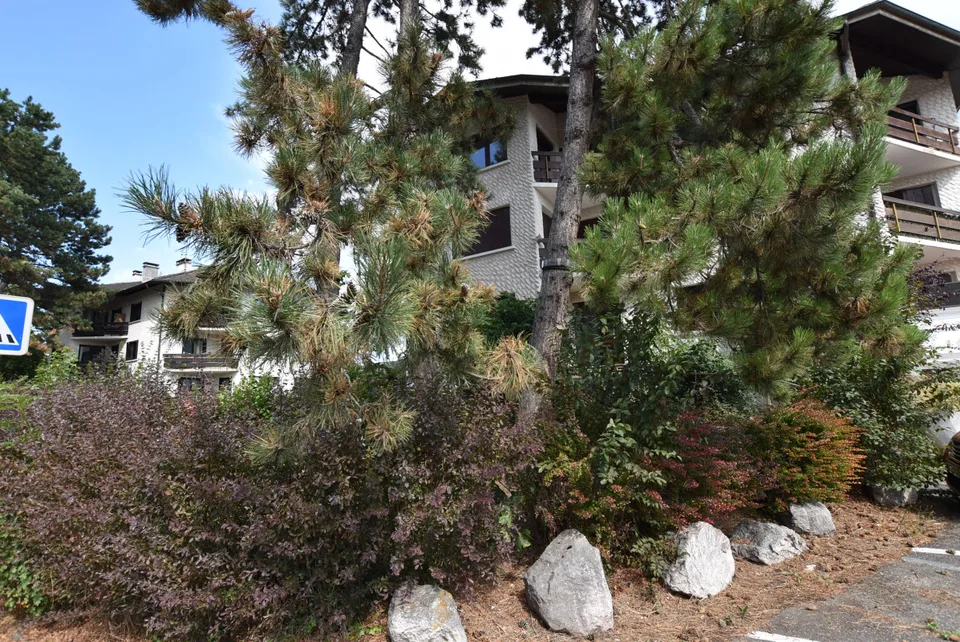 CHARMANT APPARTEMENT ENTIEREMENT RENOVE AU CENTRE DE VEIGY-FONCENEX