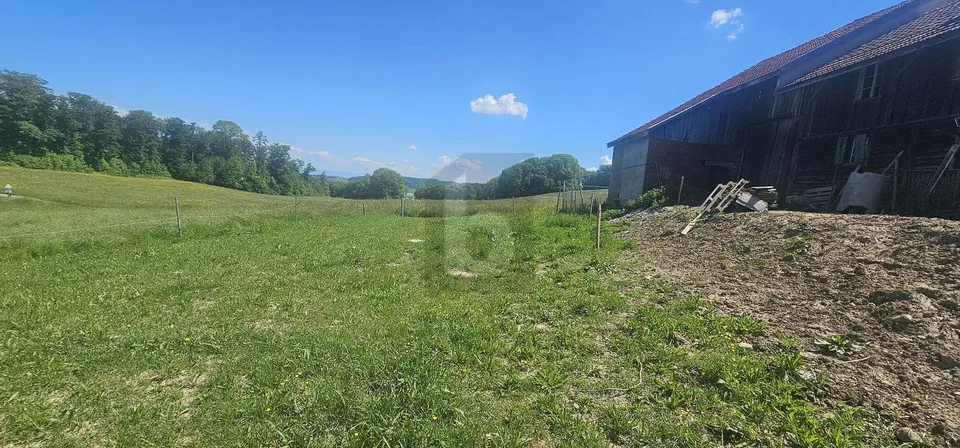 EXCEPTIONAL PRICE! TO RENOVATE IN A BARN