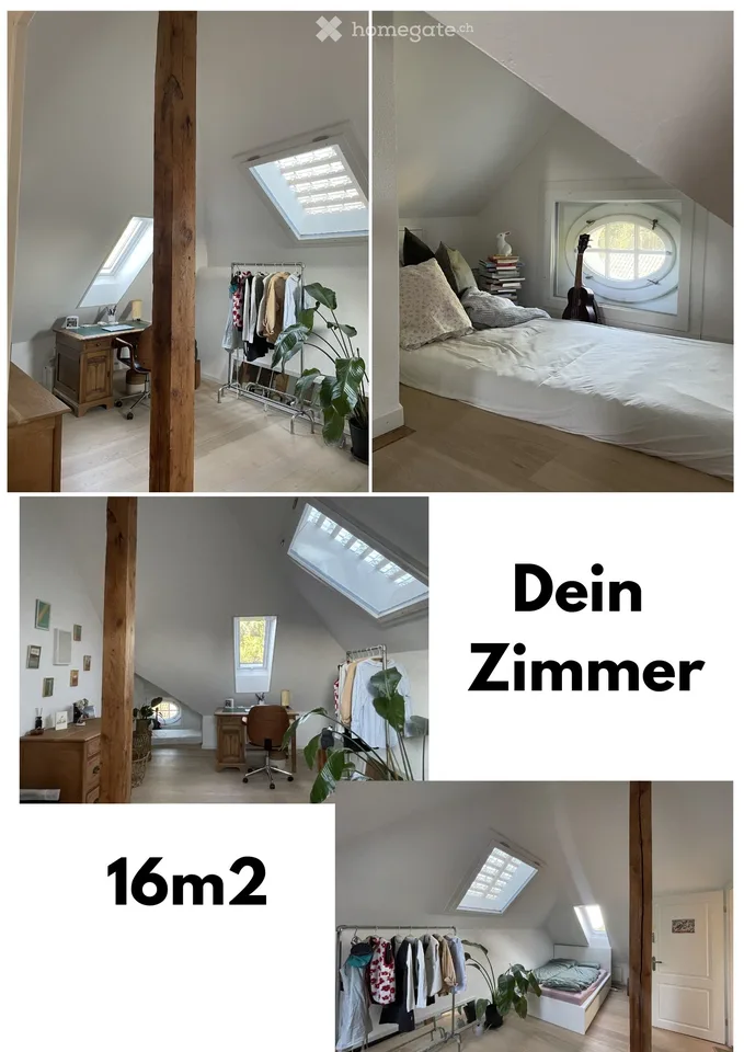 WG-Zimmer in renovierter Altbauwohnung mit Begpanorama