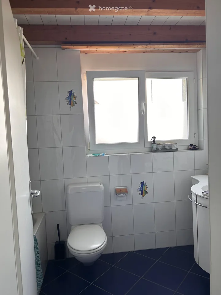 Large 4.5 room apartment plus gallery