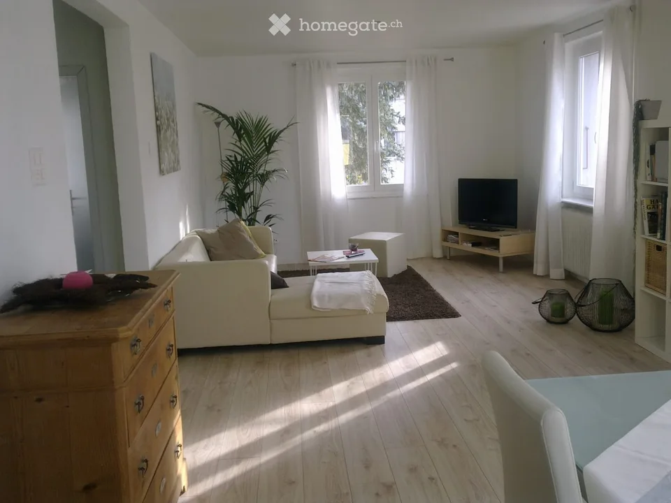 Helle 2,5 Zimmerwohnung mit grosser Terrasse