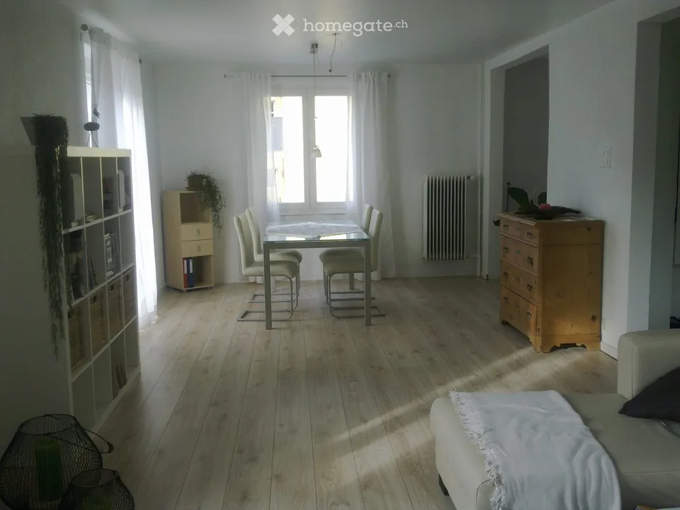 Helle 2,5 Zimmerwohnung mit grosser Terrasse