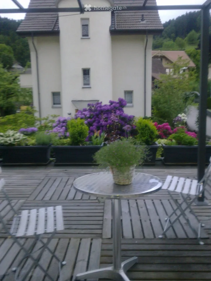 Helle 2,5 Zimmerwohnung mit grosser Terrasse