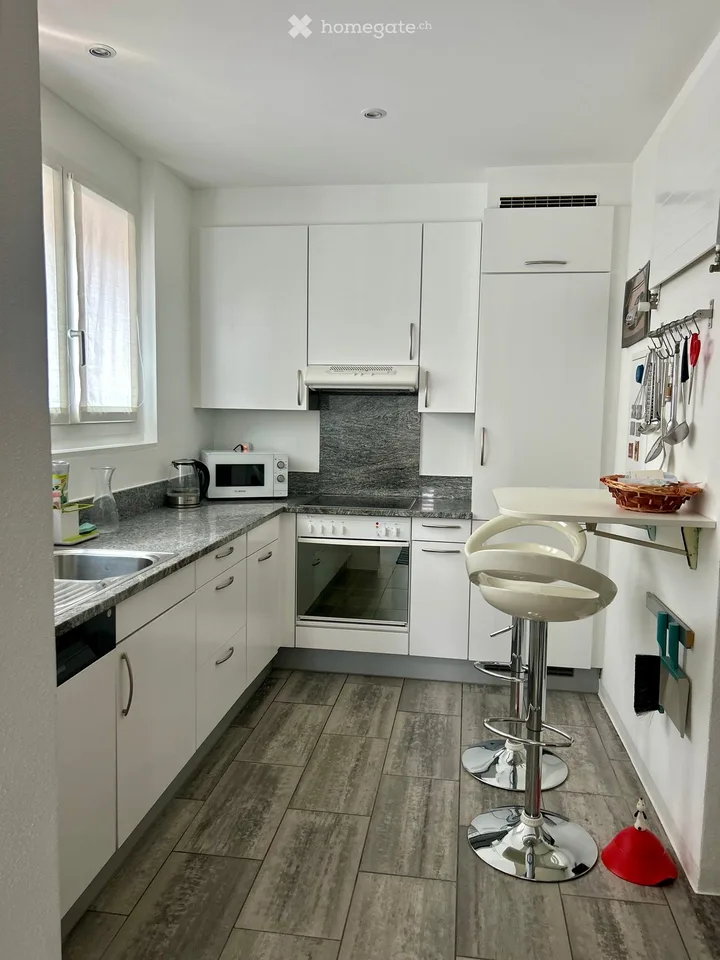 Elegante appartamento ammobiliato con vista lago