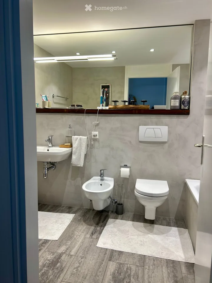 Elegante appartamento ammobiliato con vista lago