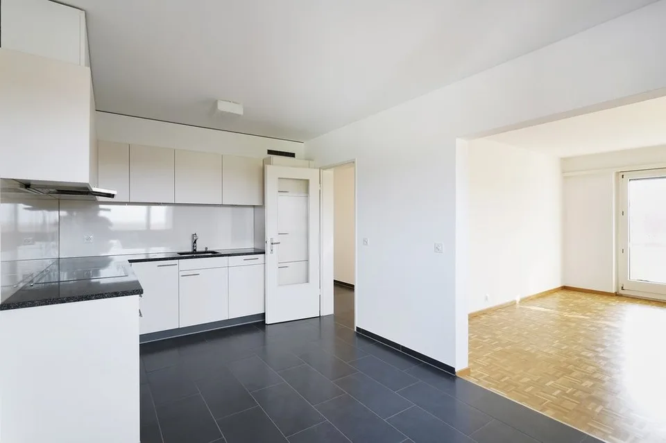 SCHÖNE 3.5-ZIMMERWOHNUNG MIT AUSSICHT IM HIRZBRUNNENQUARTIER