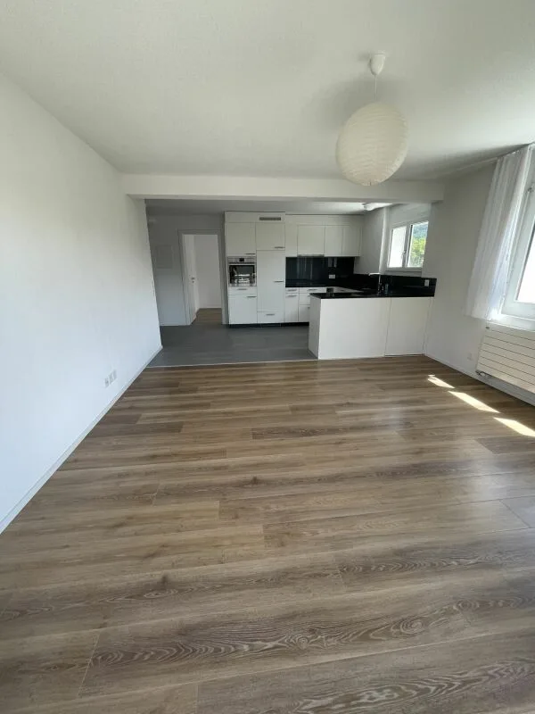 Appartement ensoleillé de 3,5 pièces avec terrasse sur le toit