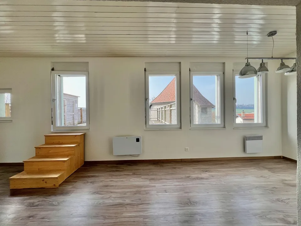 Appartamento atipico grande 2,5 locali con grande terrazza