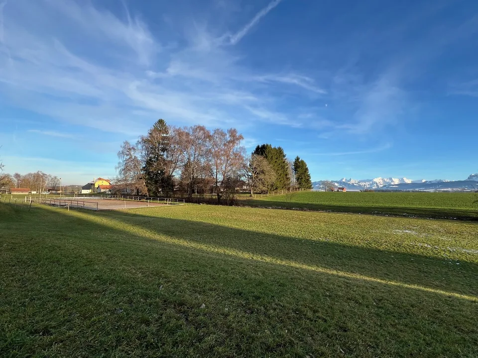 Ferme équestre 4,5 pièces, écurie, paddock, parcs