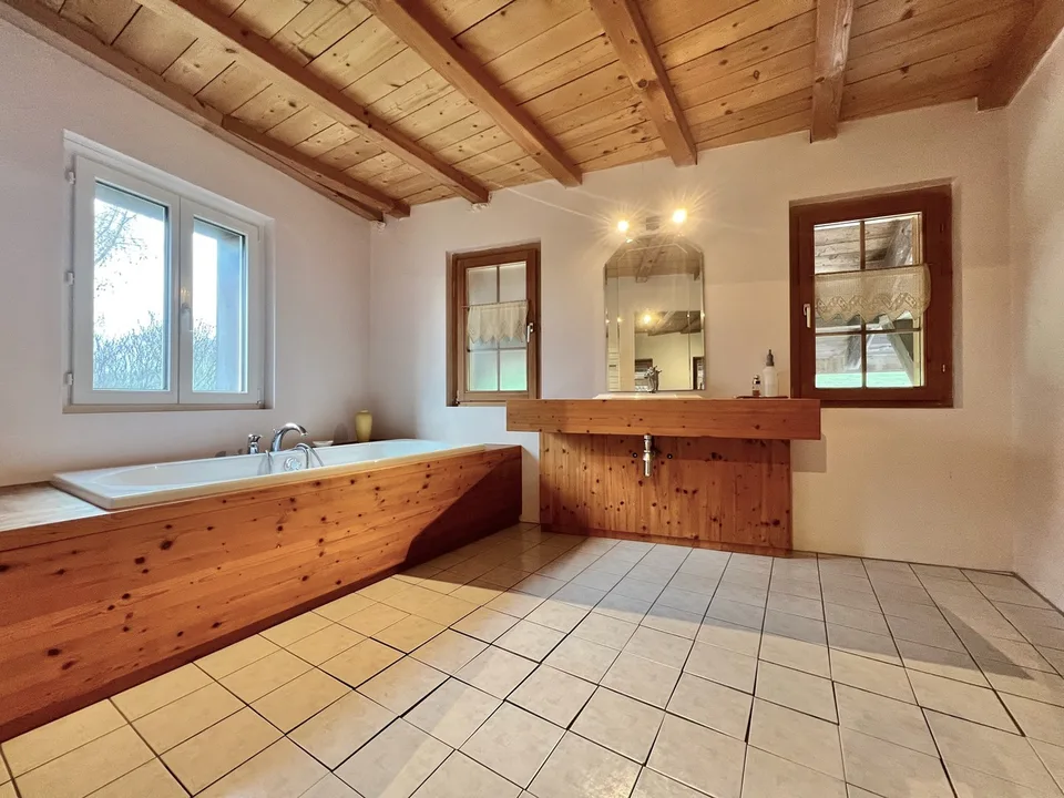 Ferme équestre 4,5 pièces, écurie, paddock, parcs