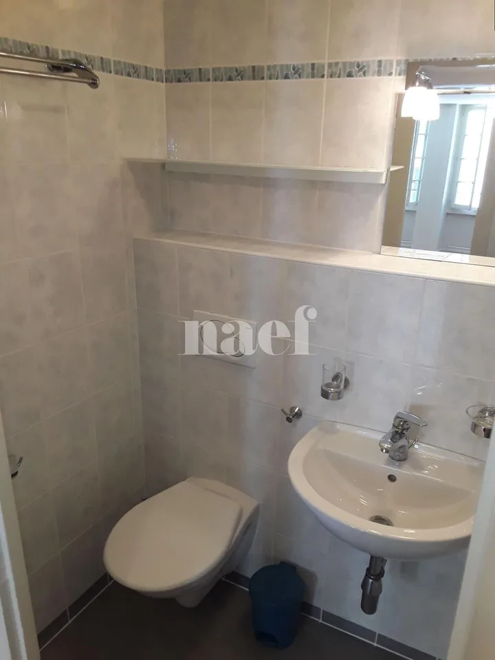 A 1.5-room apartment located in the heart of Geneva's Old Town