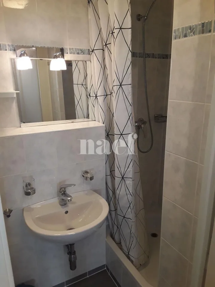 A 1.5-room apartment located in the heart of Geneva's Old Town