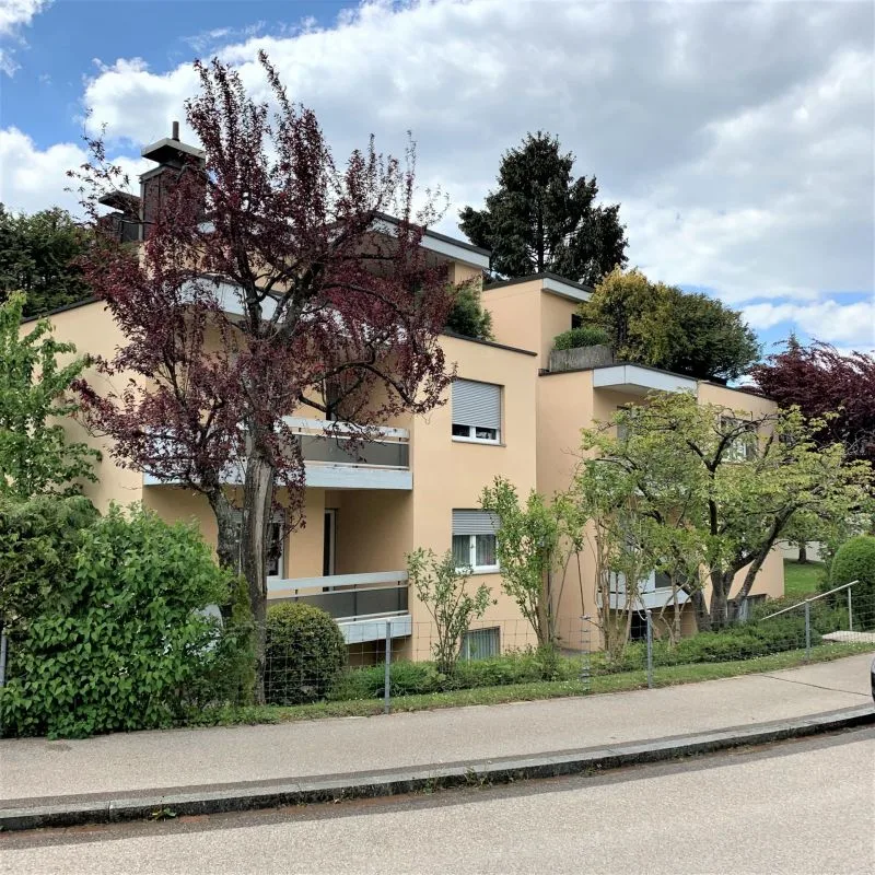 Auto-Einstellplatz in Birmensdorf zu vermieten
