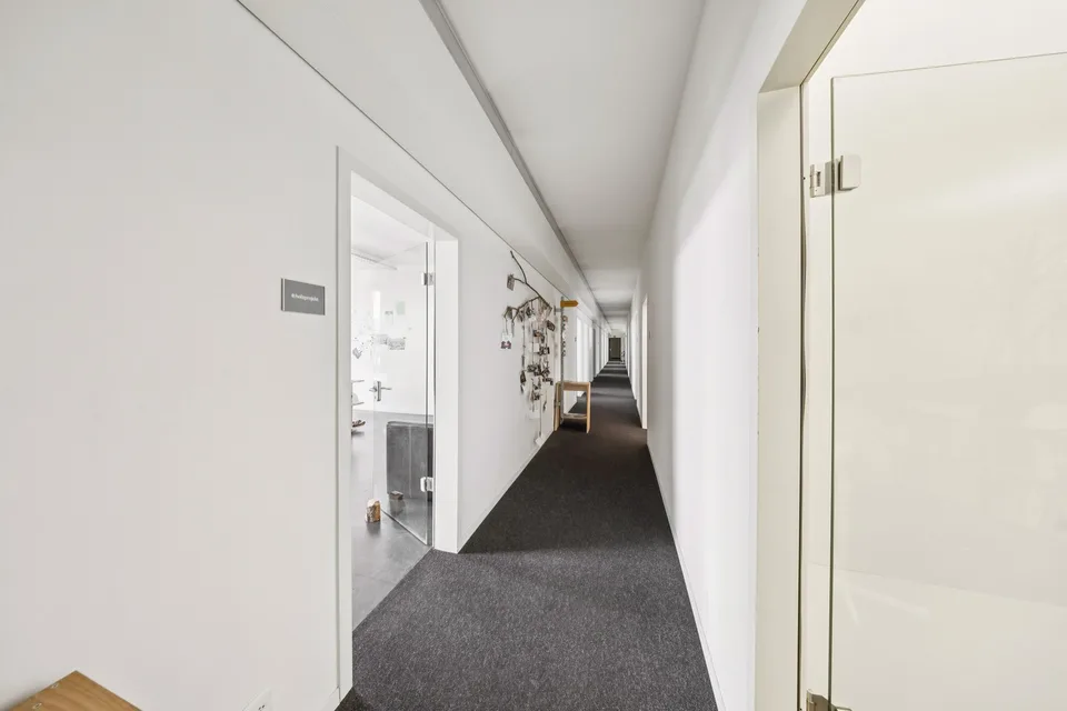 510 m2 Locaux Commerciaux