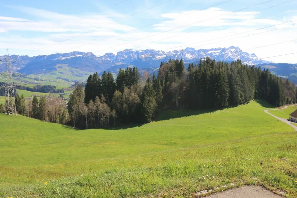 Exklusive Baulandparzellen in Brenden mit traumhafter Alpstein-Panoramasicht