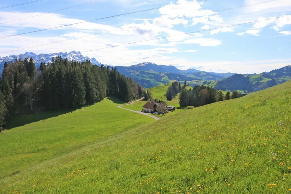 Exklusive Baulandparzellen in Brenden mit traumhafter Alpstein-Panoramasicht