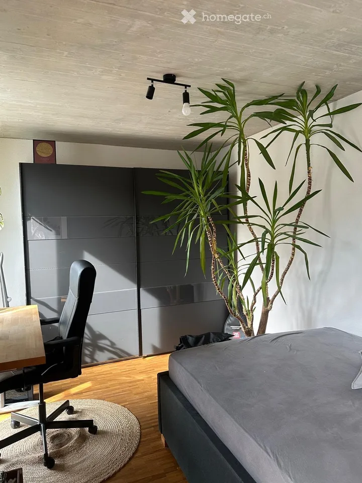 Appartamento moderno 3.5 locali con ampio balcone