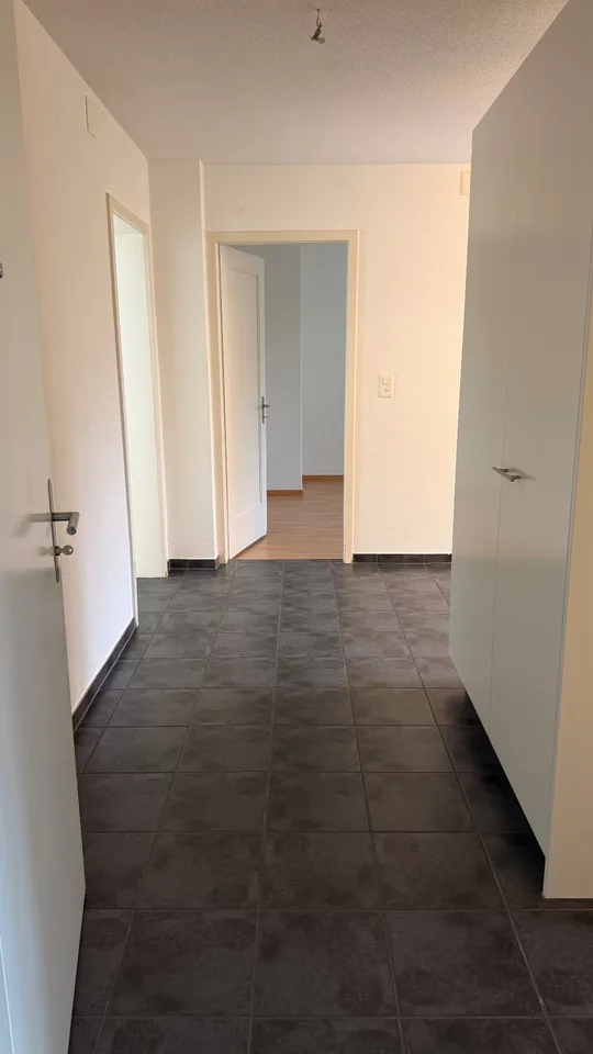Bright 3.5-room apartment with balcony in Dietikon