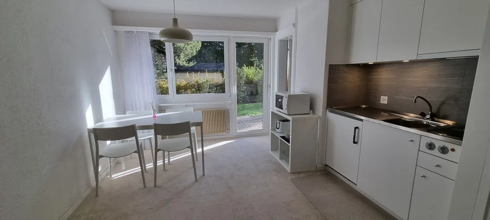 Helle 1 Zi-Wohnung mit Terrasse