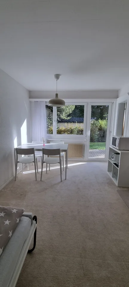 Helle 1 Zi-Wohnung mit Terrasse