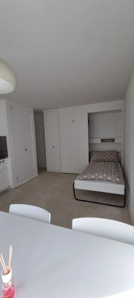 Helle 1 Zi-Wohnung mit Terrasse