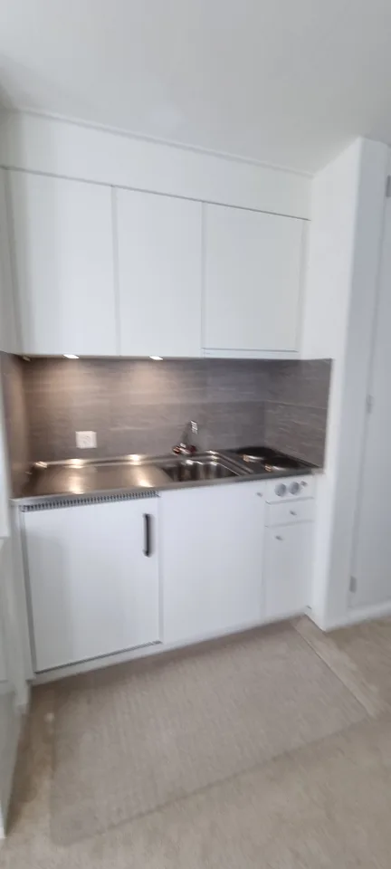 Helle 1 Zi-Wohnung mit Terrasse