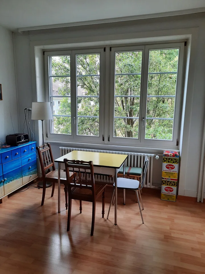 1-bedroom apartment