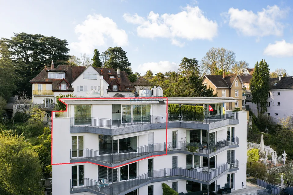 Attika-Maisonette mit unverbaubarem Weitblick über Binningen & Basel