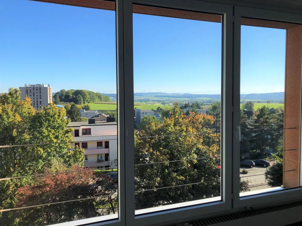Incantevole appartamento di 4.5 locali con balcone