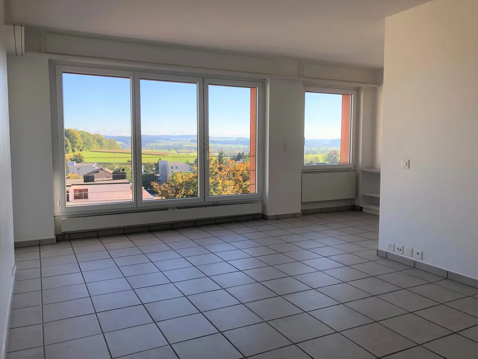 Incantevole appartamento di 4.5 locali con balcone