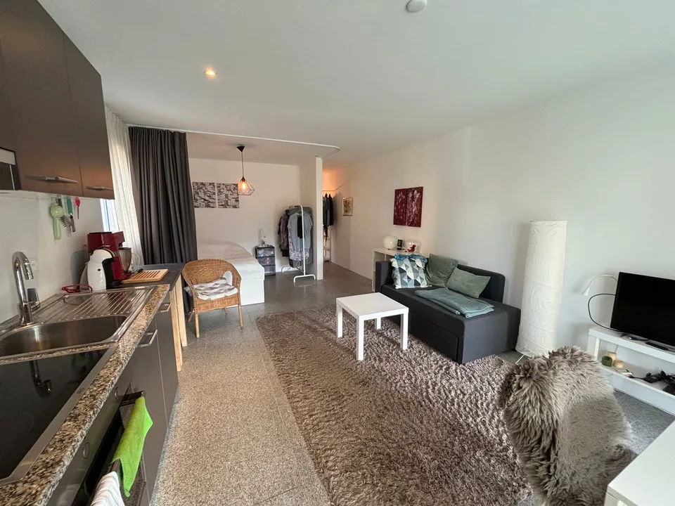 Moderno 1,5/2 locali ammobiliato con terrazzo e piscina