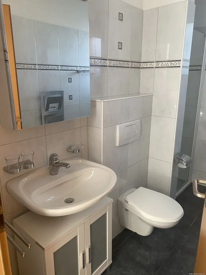 Casa unifamiliare con 6,5 locali a Müllheim TG, vista sulle Alpi e giardino – foto 13 di 13