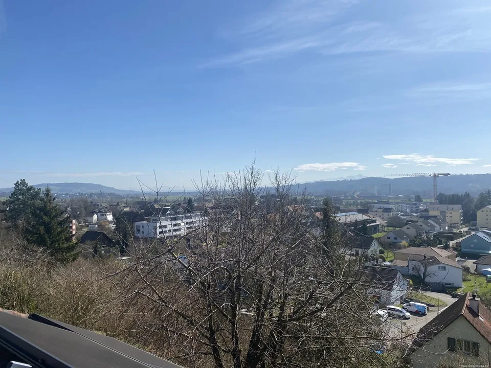 Einfamilienhaus mit 6.5 Zimmern in Müllheim TG  Alpenblick & Garten