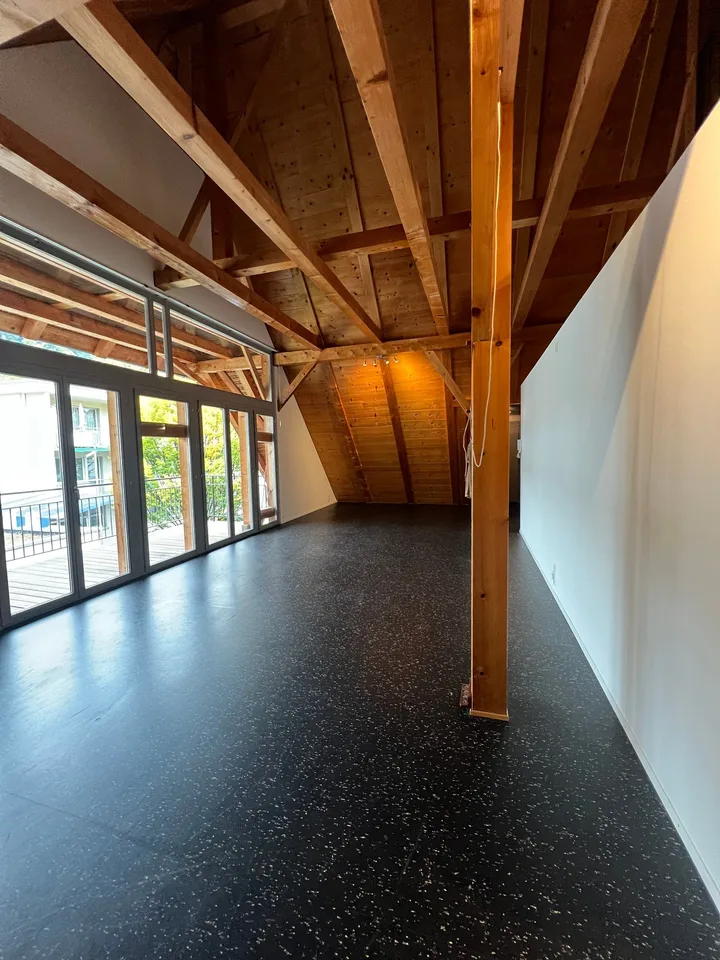 Il perfetto appartamento a maisonnette in città a Thun
