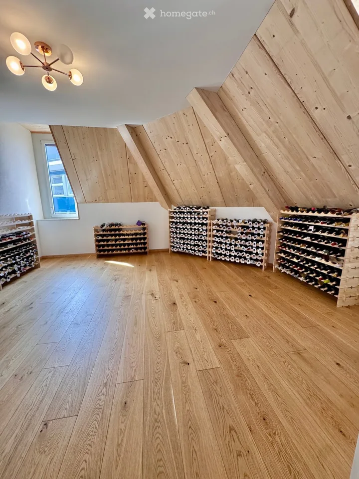 Beautiful attic apartment with great terrace for rent!