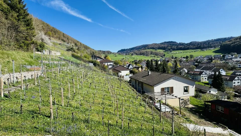 Casa architettonica di 6,5 locali con piscina, box auto, 3 posti auto e vista aperta