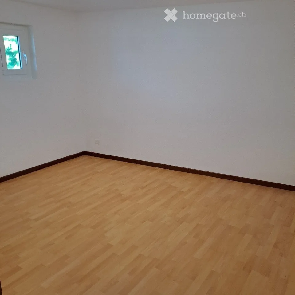 Appartement lumineux 3,5 pièces