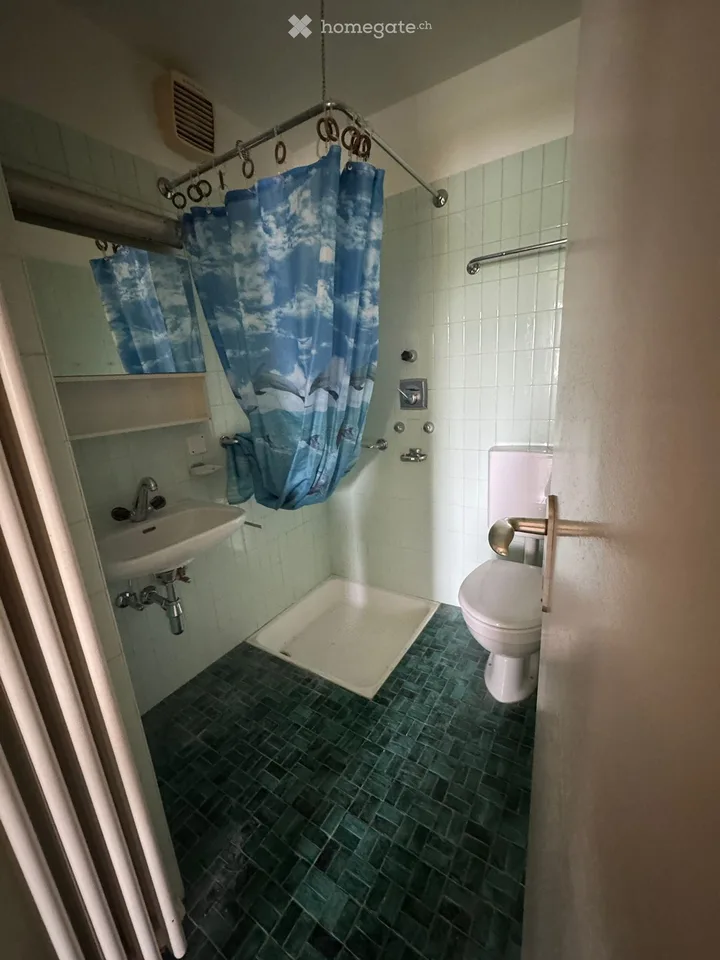 Appartement zur Miete 2.5 Zimmer Barbengo