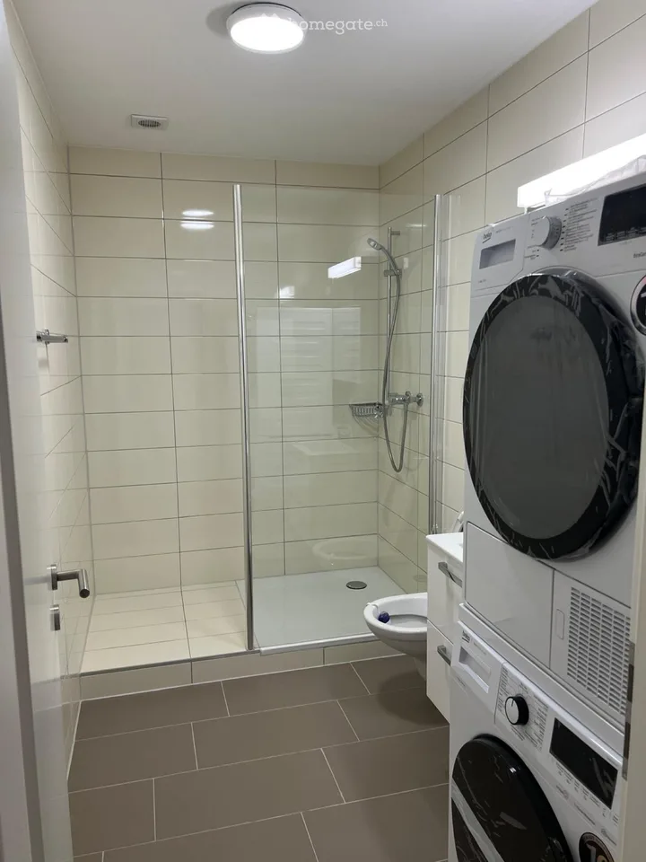 In affitto appartamento 2.5 locali con spese accessorie 1200.-Fr.