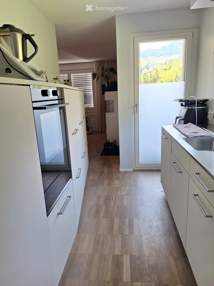 Appartamento luminoso 4.5 locali con una vista lago e montagna da sogno