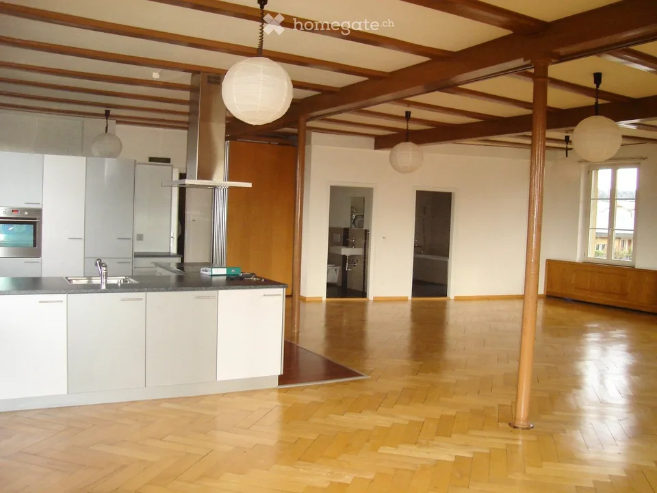Appartement loft dans l'ancienne salle de danse Gasthof Rössli